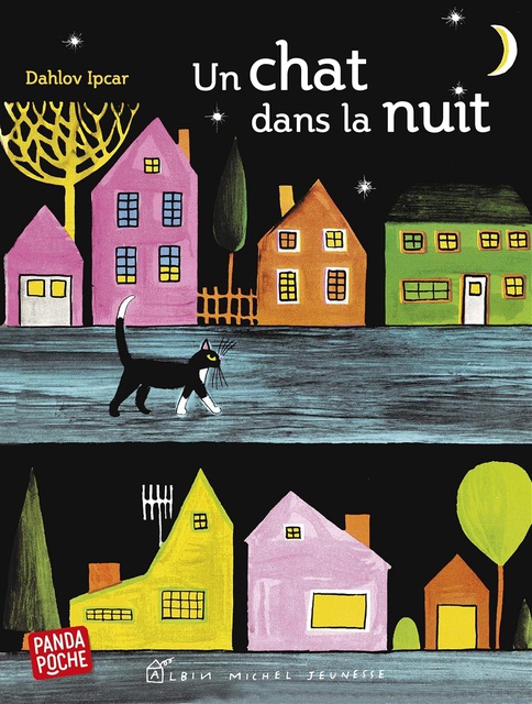 UN CHAT DANS LA NUIT