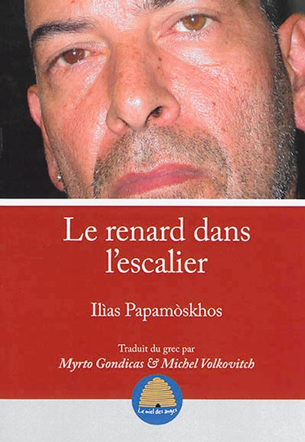 Le renard dans l'escalier