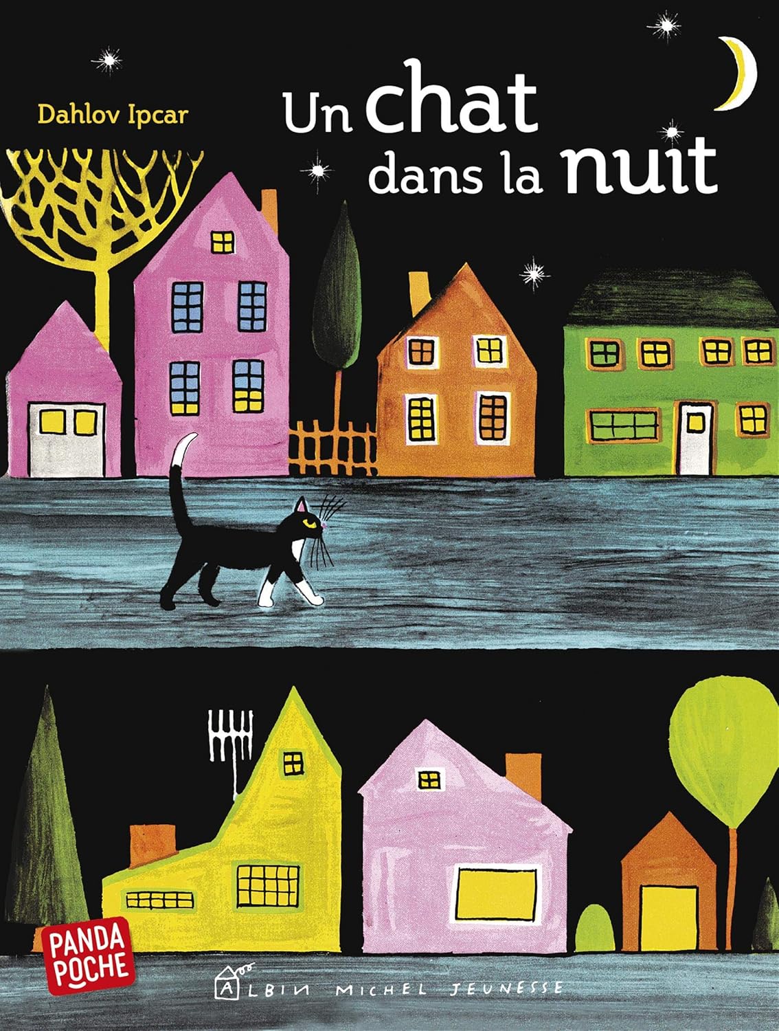 UN CHAT DANS LA NUIT