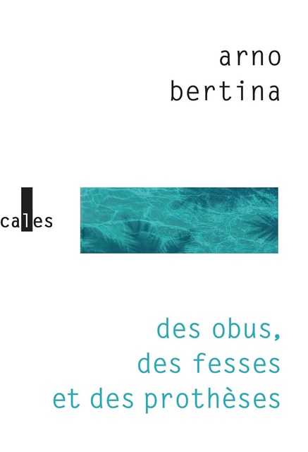 DES OBUS, DES FESSES ET DES PROTHESES
