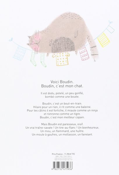 Mon chat boudin