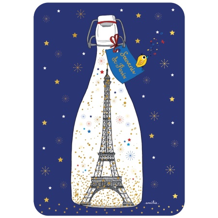 POSTCARD MEMORY FROM PARIS