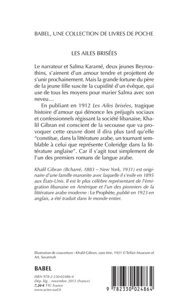 Les Ailes brisées