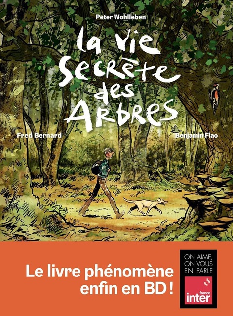 LA VIE SECRETE DES ARBRES EN BD