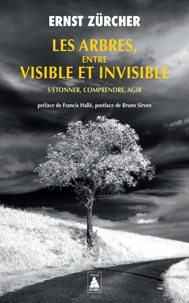 Les Arbres, entre visible et invisible S'étonner, comprendre, agir | Le ...