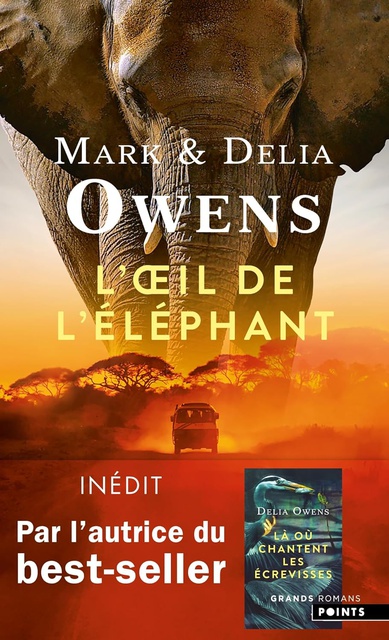 L'OEil de l'éléphant