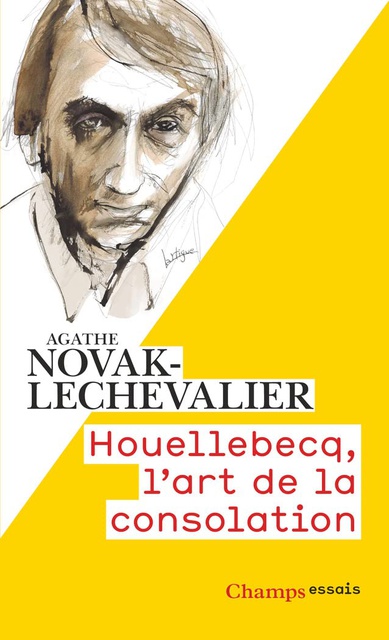 HOUELLEBECQ, L'ART DE LA CONSOLATION