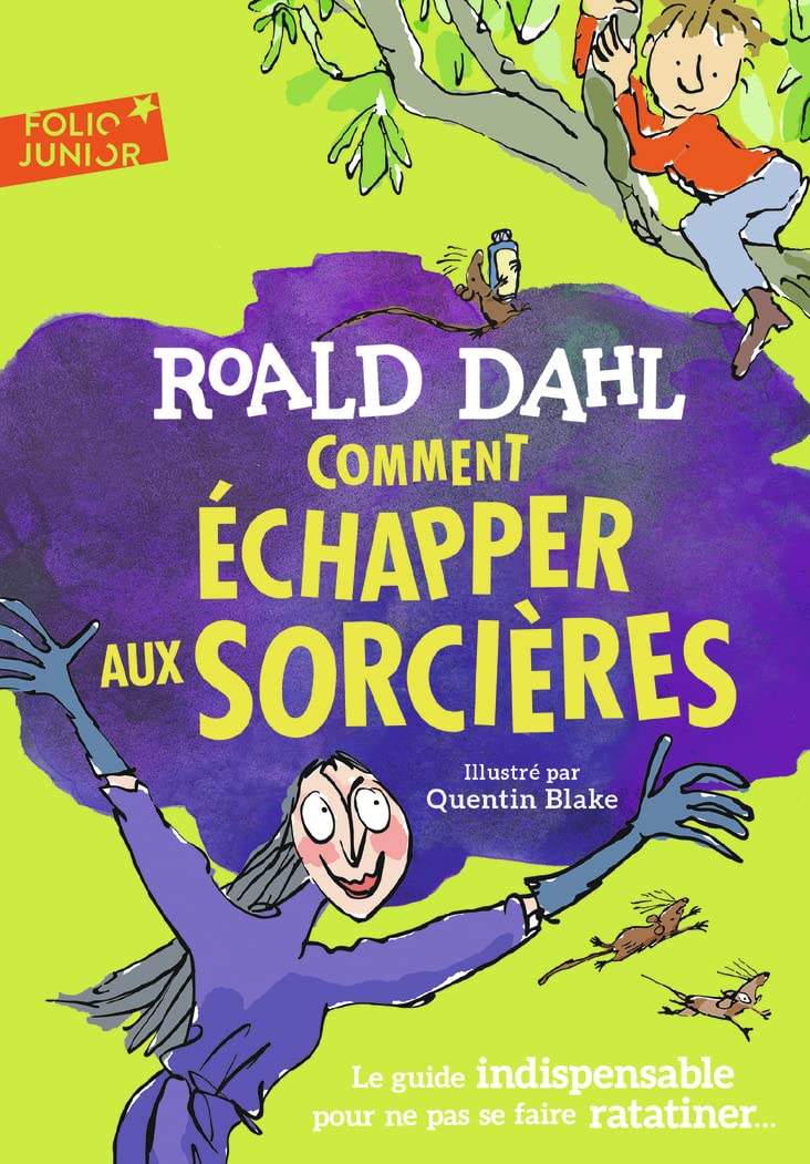 COMMENT ECHAPPER AUX SORCIERES - LE GUIDE INDISPENSABLE POUR NE PAS SE FAIRE RATATINER...