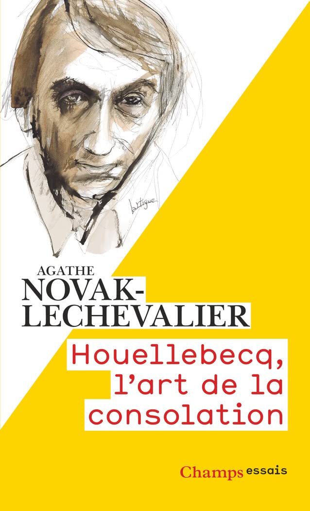 HOUELLEBECQ, L'ART DE LA CONSOLATION
